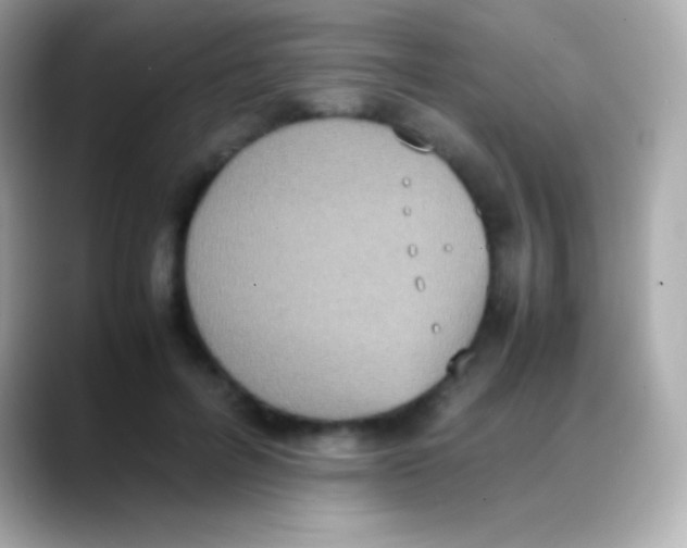 X0000088150600200706042030