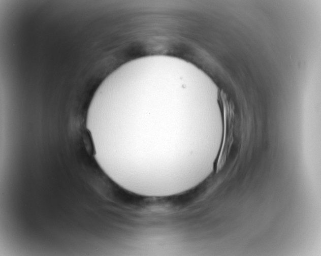 X0000088150601200706042030