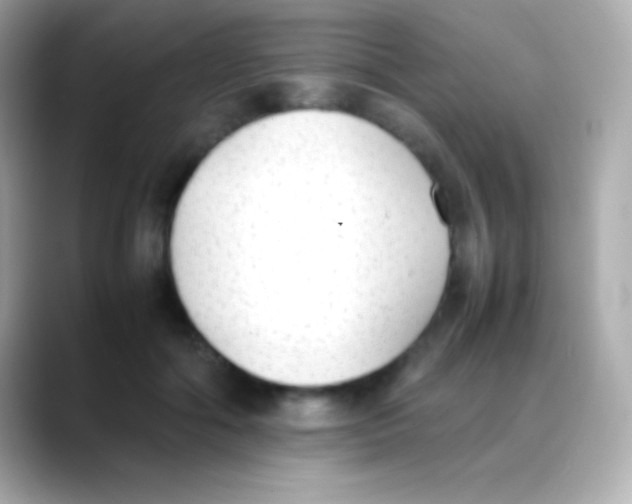 X0000088150602200706042030