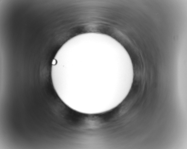 X0000088150603200706042030