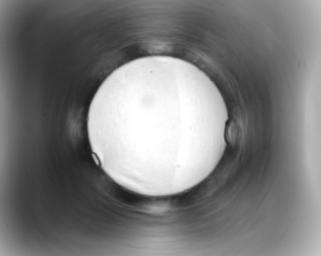 X0000088150604200706042030