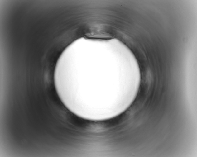 X0000088150606200706042030