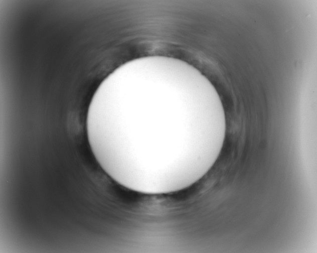 X0000088150607200706042030