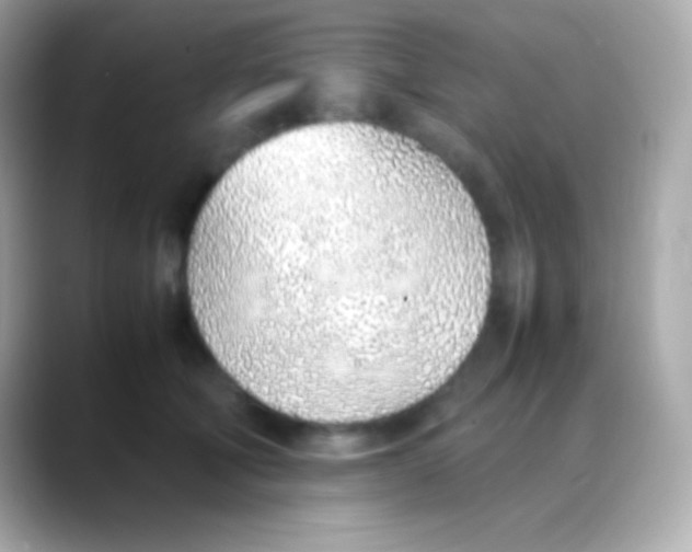 X0000088150610200706042030