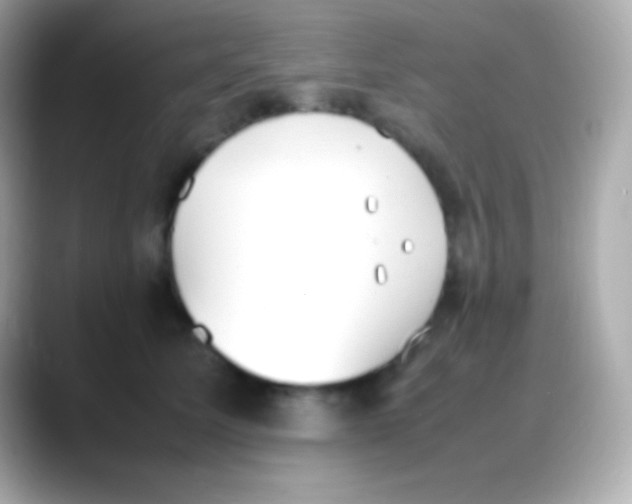 X0000088150611200706042030