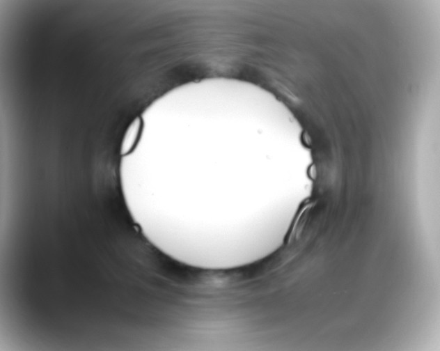 X0000088150613200706042030