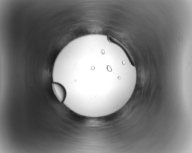 X0000088150614200706042030