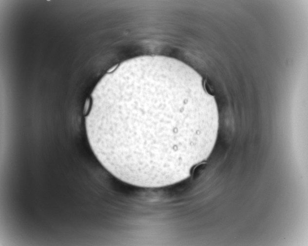 X0000088150615200706042030