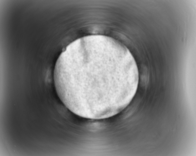 X0000088150620200706042030