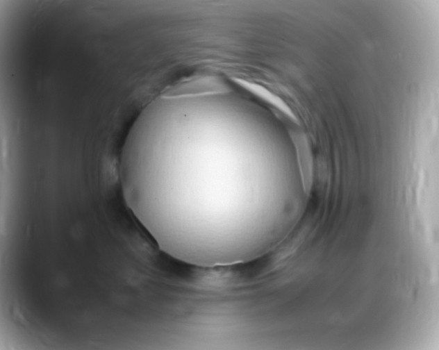 X0000088150621200706042030