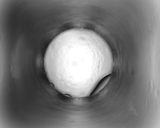 X0000088150623200706042030