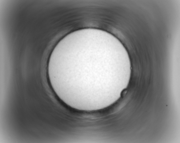 X0000088150625200706042029