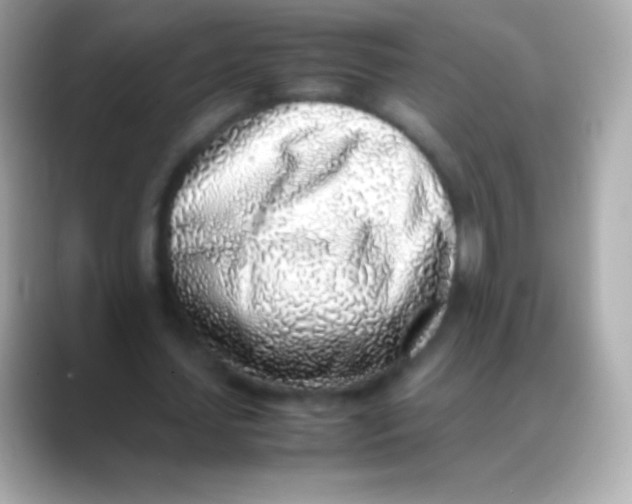 X0000088150627200706042029