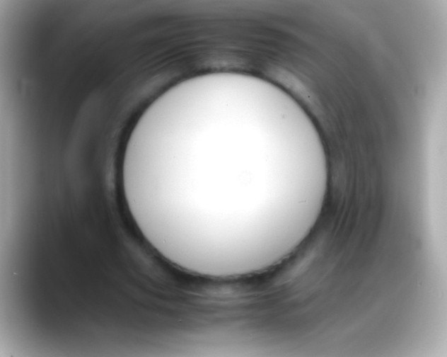 X0000088150629200706042030