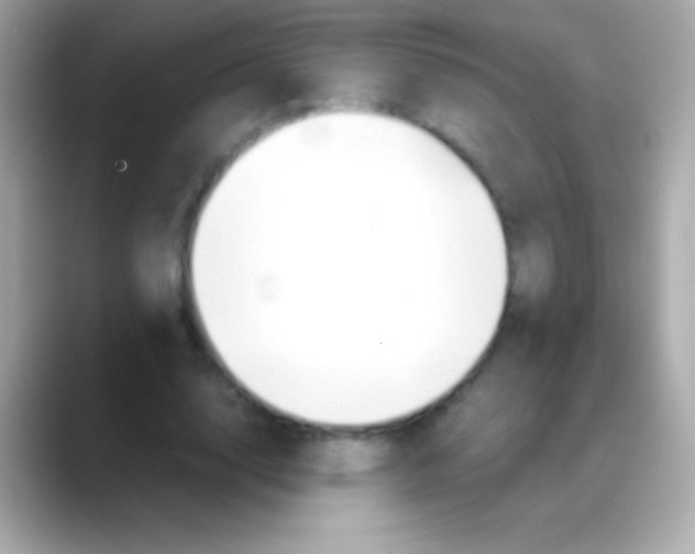 X0000088150632200706042030