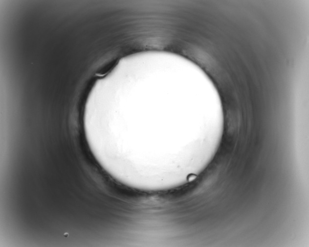 X0000088150634200706042030