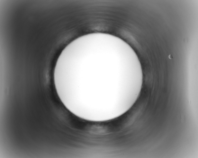 X0000088150635200706042030