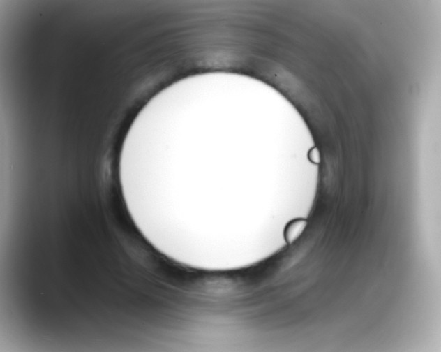 X0000088150636200706042030