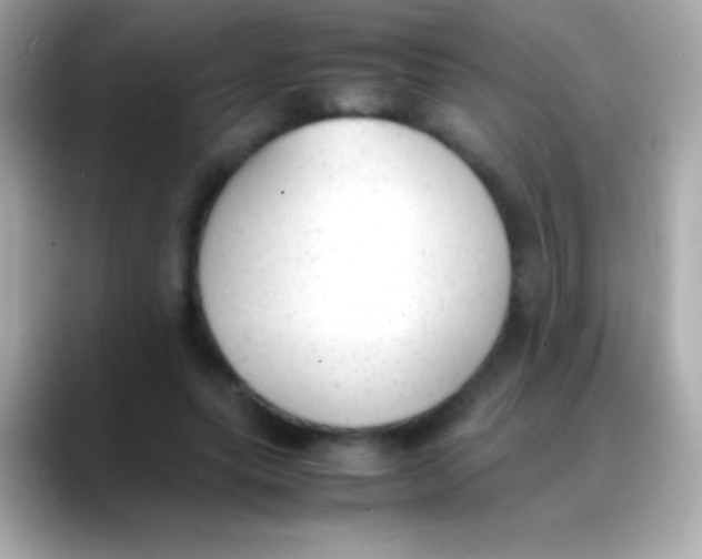 X0000088150639200706042030