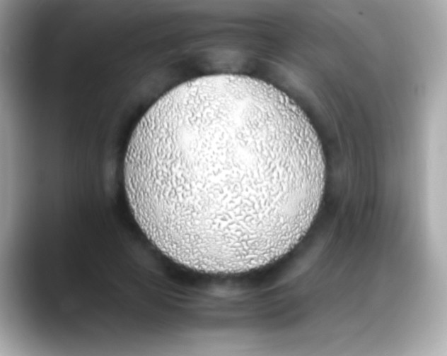 X0000088150641200706042030