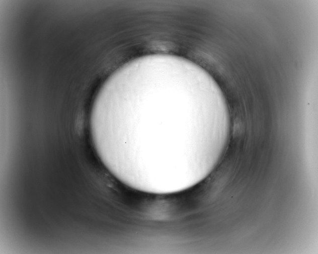 X0000088150647200706042030