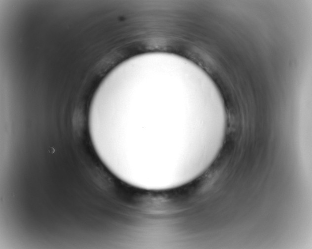 X0000088150648200706042030