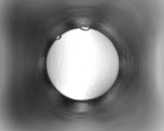 X0000088150649200706042030