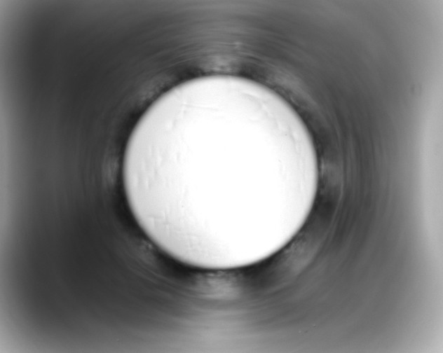 X0000088150652200706042030