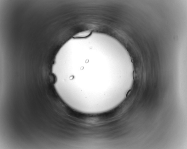 X0000088150653200706042030