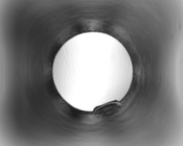 X0000088150657200706042030