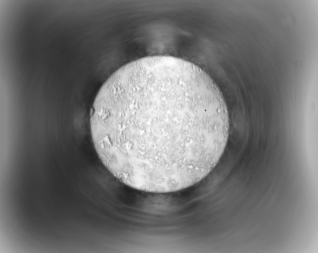 X0000088150659200706042030