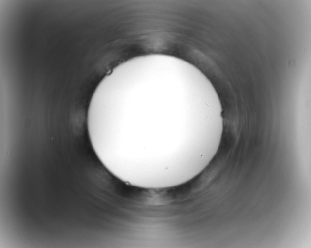 X0000088150660200706042030