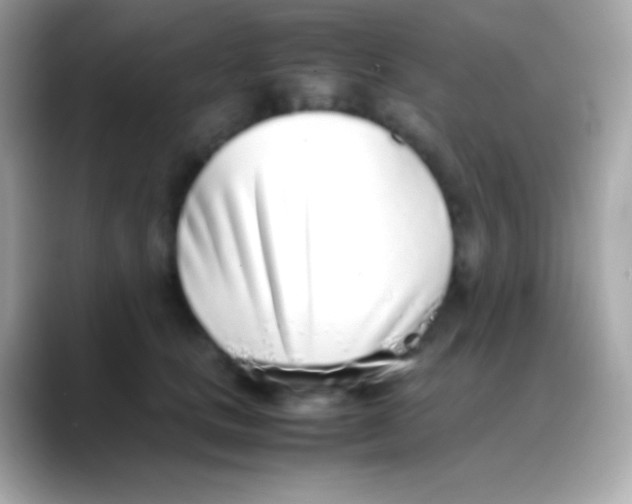 X0000088150661200706042030