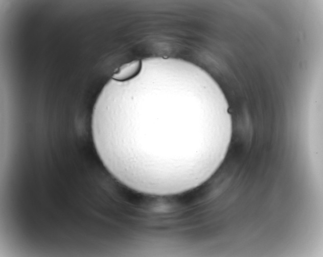 X0000088150663200706042030