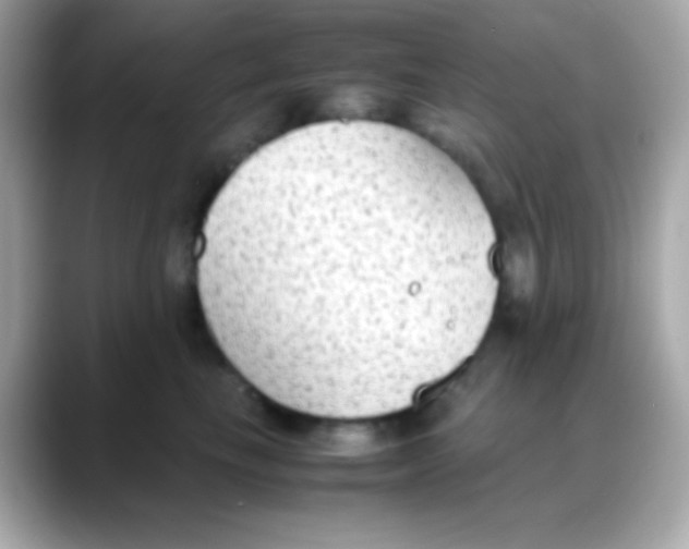 X0000088150665200706042030