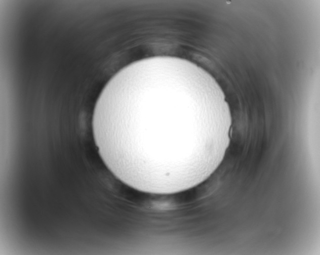 X0000088150667200706042030