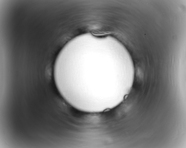 X0000088150668200706042030