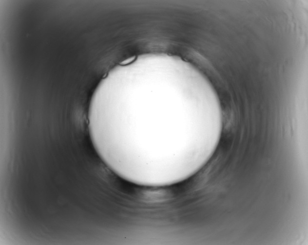 X0000088150669200706042030