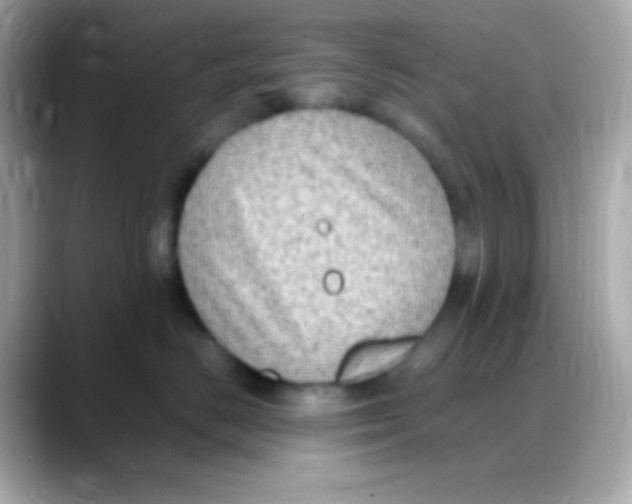 X0000088150670200706042030