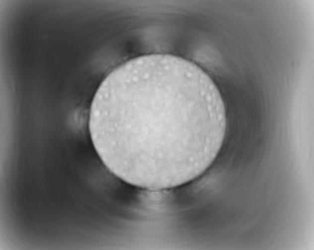 X0000088150672200706042030