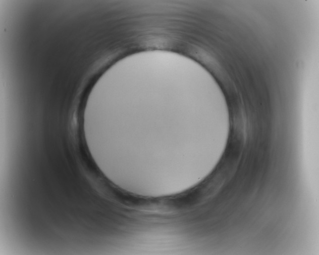 X0000088150674200706042029