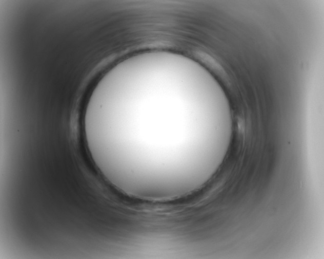 X0000088150676200706042029