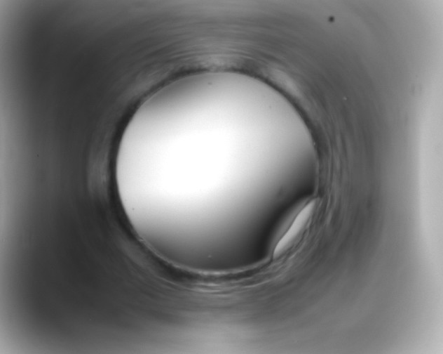 X0000088150677200706042029