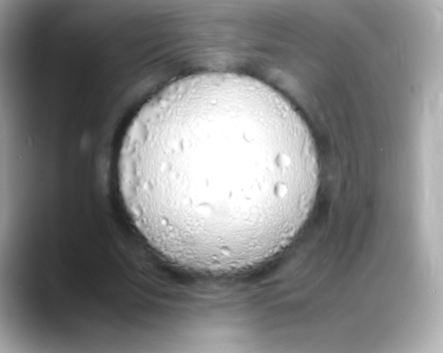 X0000088150679200706042029