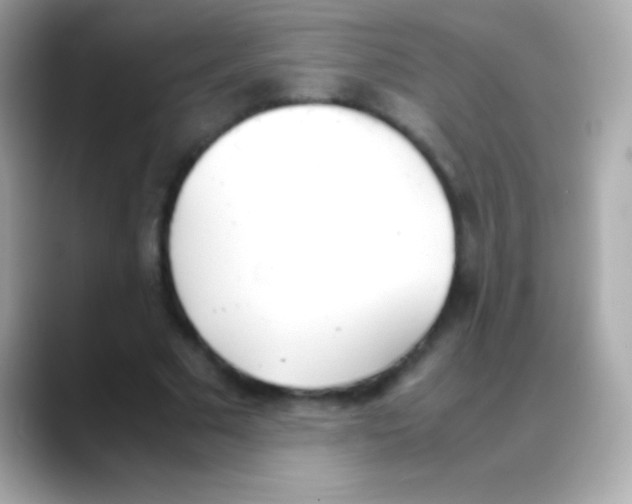 X0000088150681200706042029