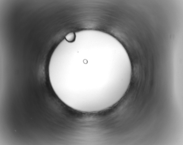 X0000088150682200706042029