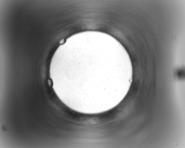 X0000088150683200706042029