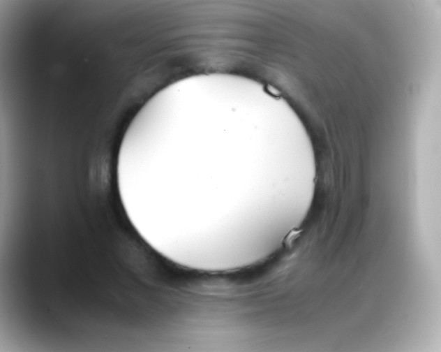 X0000088150685200706042029