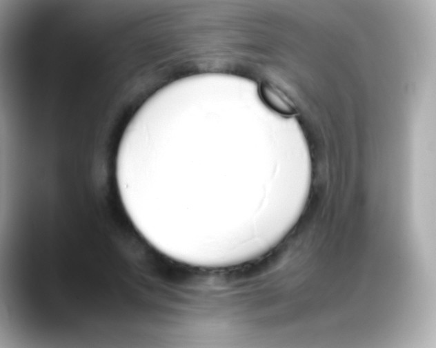 X0000088150687200706042029