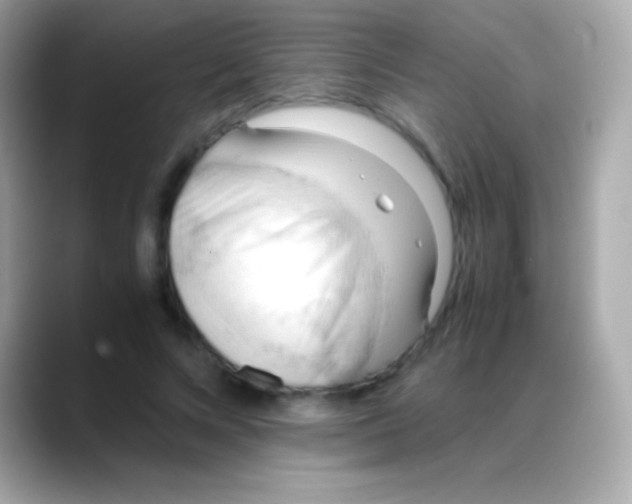 X0000088150688200706042029